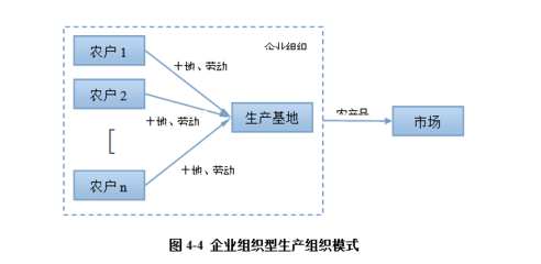 山東理工大學周濤 構建高效一體化組織體系，保障我國城市蔬菜供應鏈安全